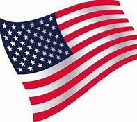 Image result for USA Flag Logo.png