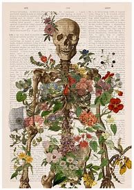Image result for Vintage Anatomy Art Aesthetic