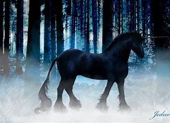 Image result for Black Unicorn