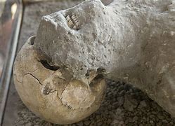 Image result for Pompeii Bodies Lovers