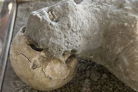 Image result for Pompeii Bodies Lovers