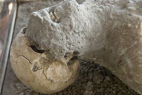 Image result for Ancient Pompeii Bodies