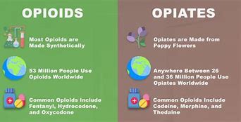 Image result for Extended-Release Opioids List
