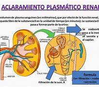 Image result for acaloramienro