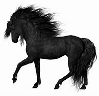 Image result for Horse Art Reference Transparent