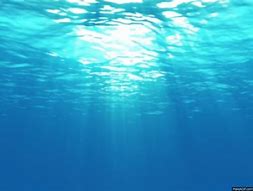 Image result for Ocean Half Underwater