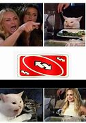 Image result for Cat Meme with Lady