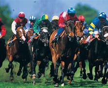 Image result for horse racing history