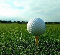 Image result for Golf Ball Pic
