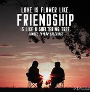 Image result for Quotes On Love and Friendship