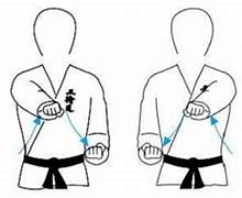 Image result for Basic Karate Punches