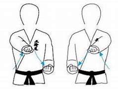 Image result for Seiken Punch Karate