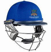 Image result for Cricket Helmet Logo