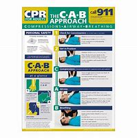 Image result for CPR Vet Med Poster