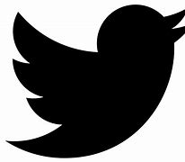 Image result for Twitter X Icon Logo