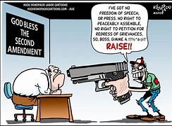 Image result for 2nd Amendment Cartoon Paul Fell