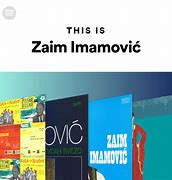 Image result for co_to_za_zaim_imamović