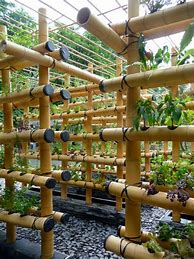 Image result for Bamboo Vertical Garden