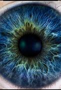Image result for Oculus Eye