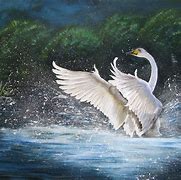 Image result for Swan Painting