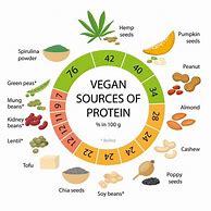 Image result for vegans vs vegetable proteins