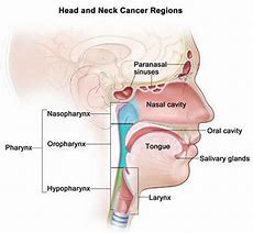 Image result for Head and Neck Cancer Case Sheet