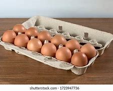 Image result for 12 Eggs