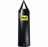 Image result for Everlast 100 Lb Punching Bag