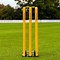 Image result for Lord Cricket Stumps