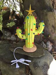 Image result for Cactus with Christmas Lights