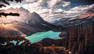 Image result for Scenic iPhone Wallpaper
