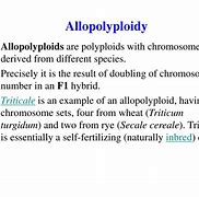Image result for Allopolyploid