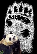 Image result for Giant Panda Paw
