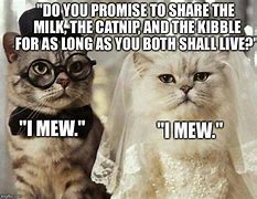 Image result for Cat Wedding Meme