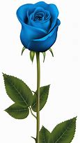 Image result for Blue and Black Rose Symbol