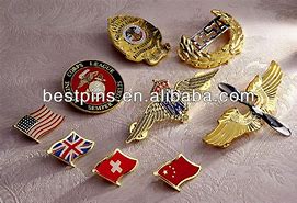 Image result for WEF Pin Badge