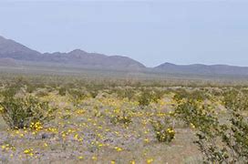Image result for Calico Solar Energy Project