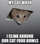 Image result for Ceiling Cat Meme Bowl