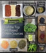 Image result for Top Plant-Based Proteins