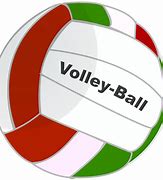 Image result for Volleyball Logo