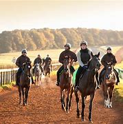 Image result for Newmarket Horse Racing