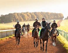 Image result for Newmarket Horse Racing