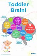 Image result for Toddler Brain