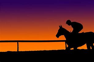 Image result for Horse Racetrack