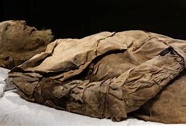 Image result for Perfectly Preserved Bodies