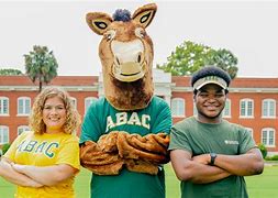 Image result for abac