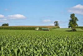 Image result for agropecuarii