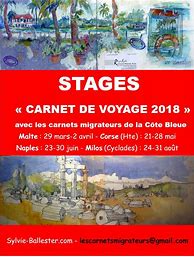 Image result for Ariane 5 Stages