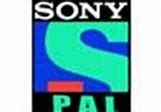 Image result for Sony PAL Logo