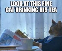 Image result for Cat Tea Meme